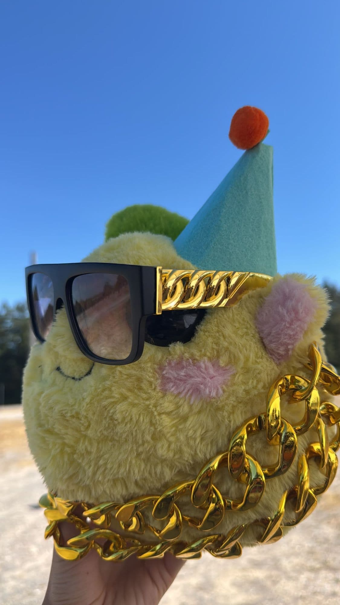 Emy in sunglasses, a party hat and a gold chain